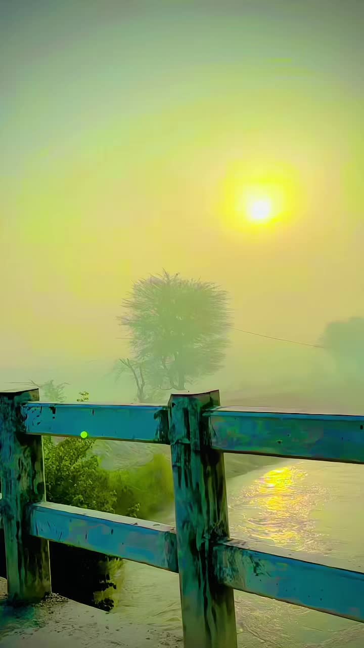 @𝑵𝒆𝒘 𝒍𝒊𝒇𝒆 𝒔𝒕𝒂𝒓𝒕💝☺️