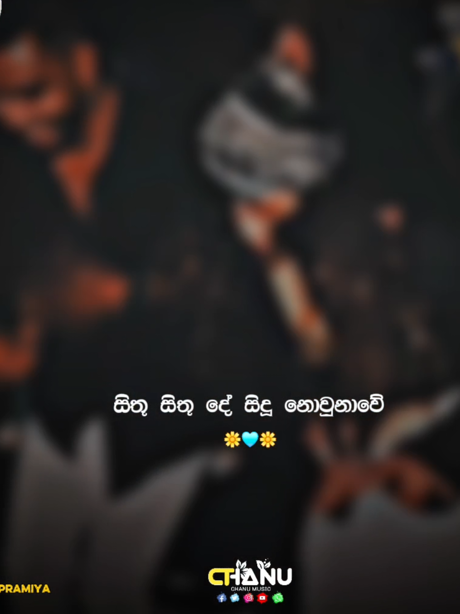 @🎗️&hearts;️𝐂𝐇𝐀𝐍𝐔 𝐌𝐔𝐒𝐈𝐂&hearts;🎗