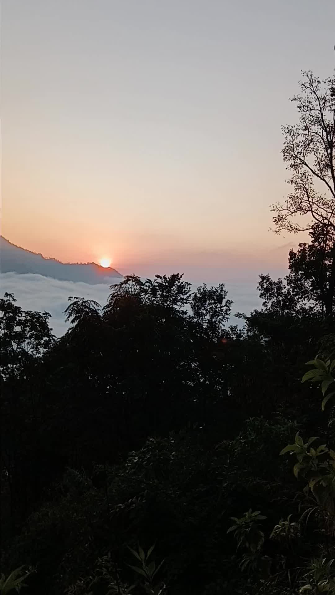 @थानेश्वर ज्ञवाली