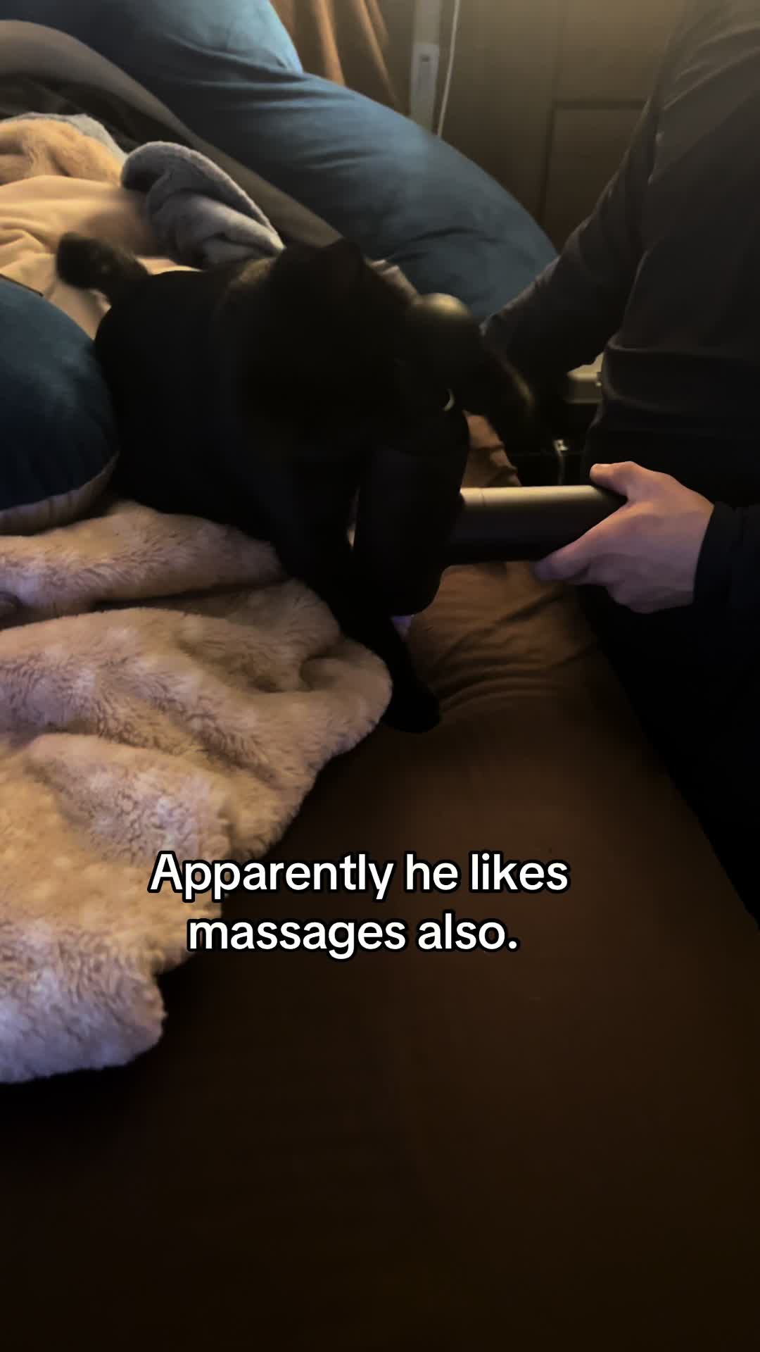 @Tasha