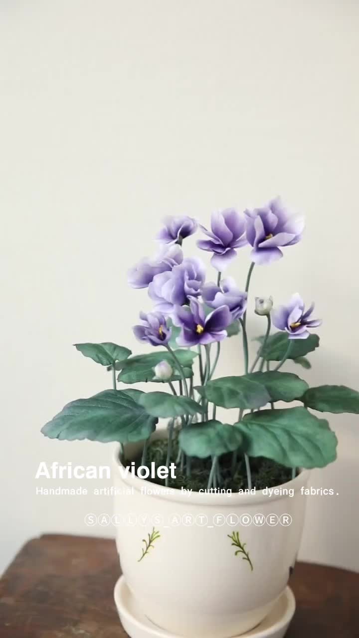 @샐리스플라워