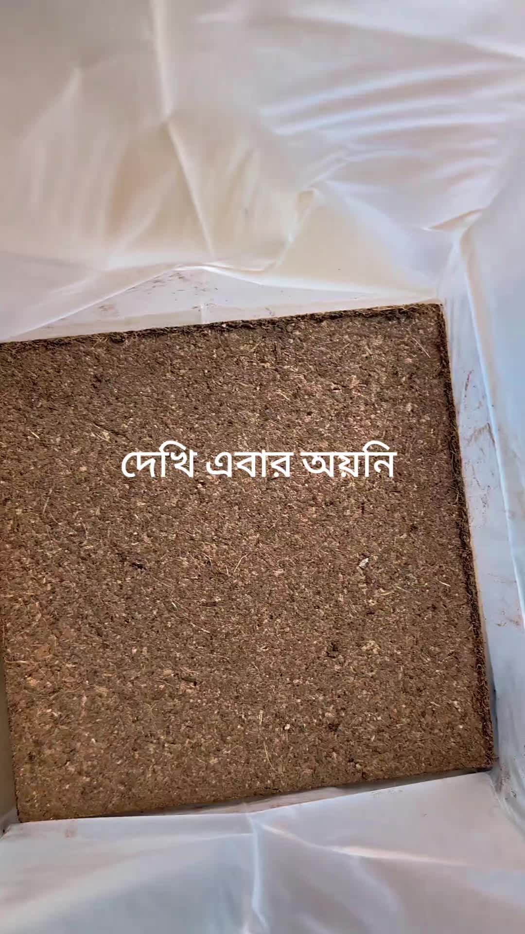 @Amar bhubon