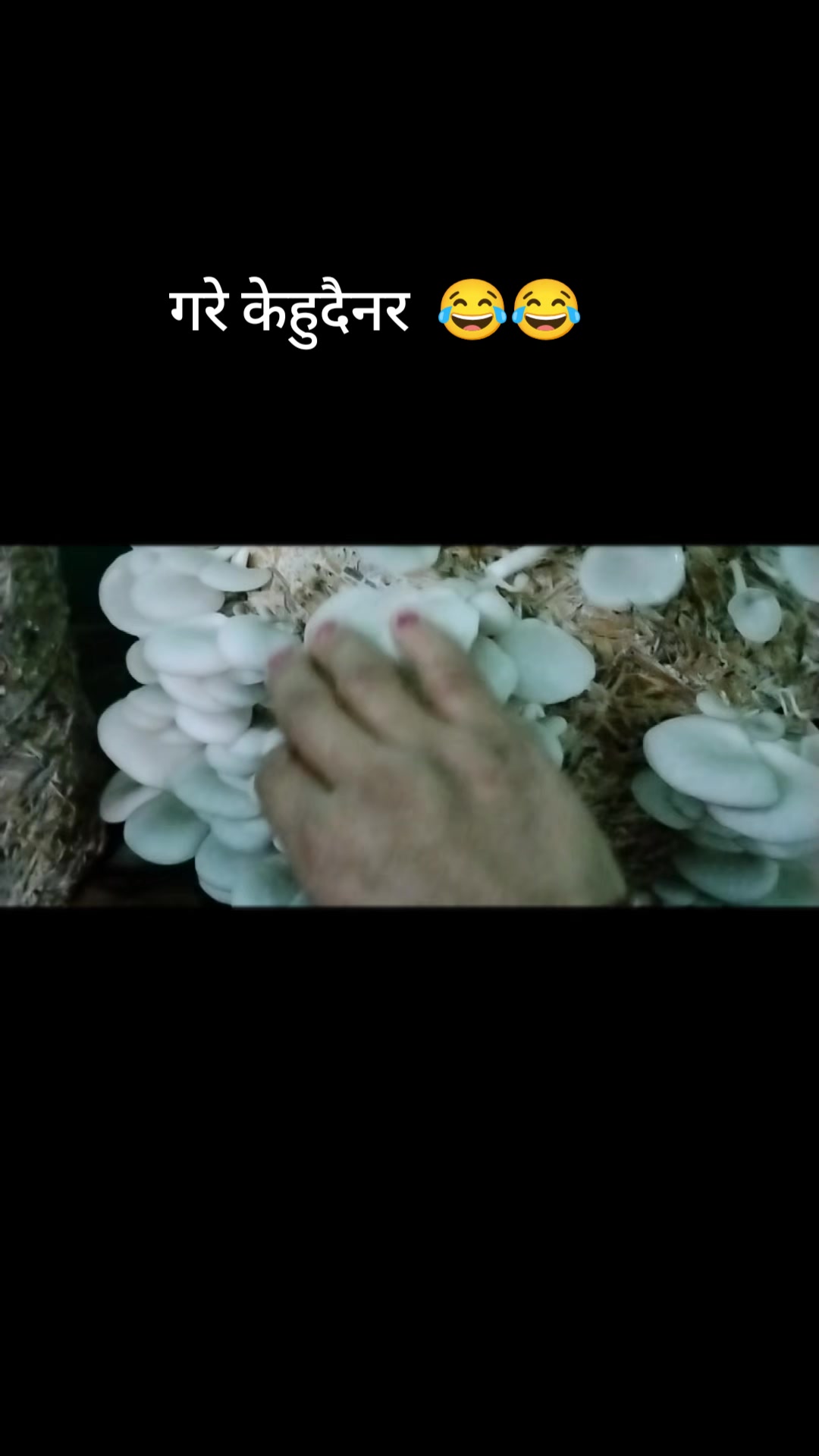 @Samjhana Gyawali