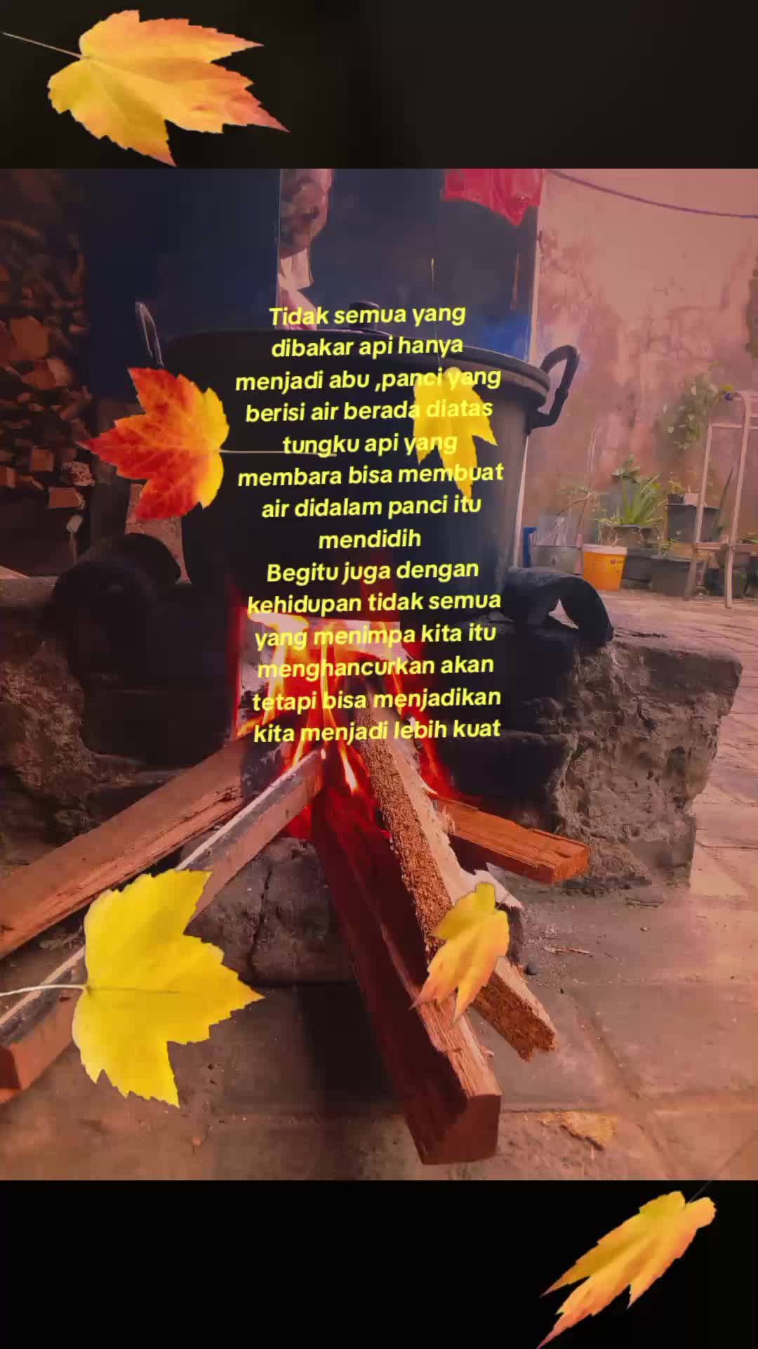 @Hertin Ayiz