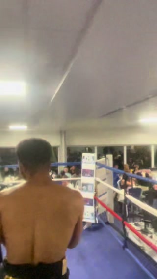 @Team springer 25 🐺🥊