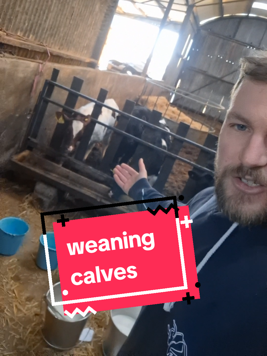 @FarmwithJack🐄 🚜