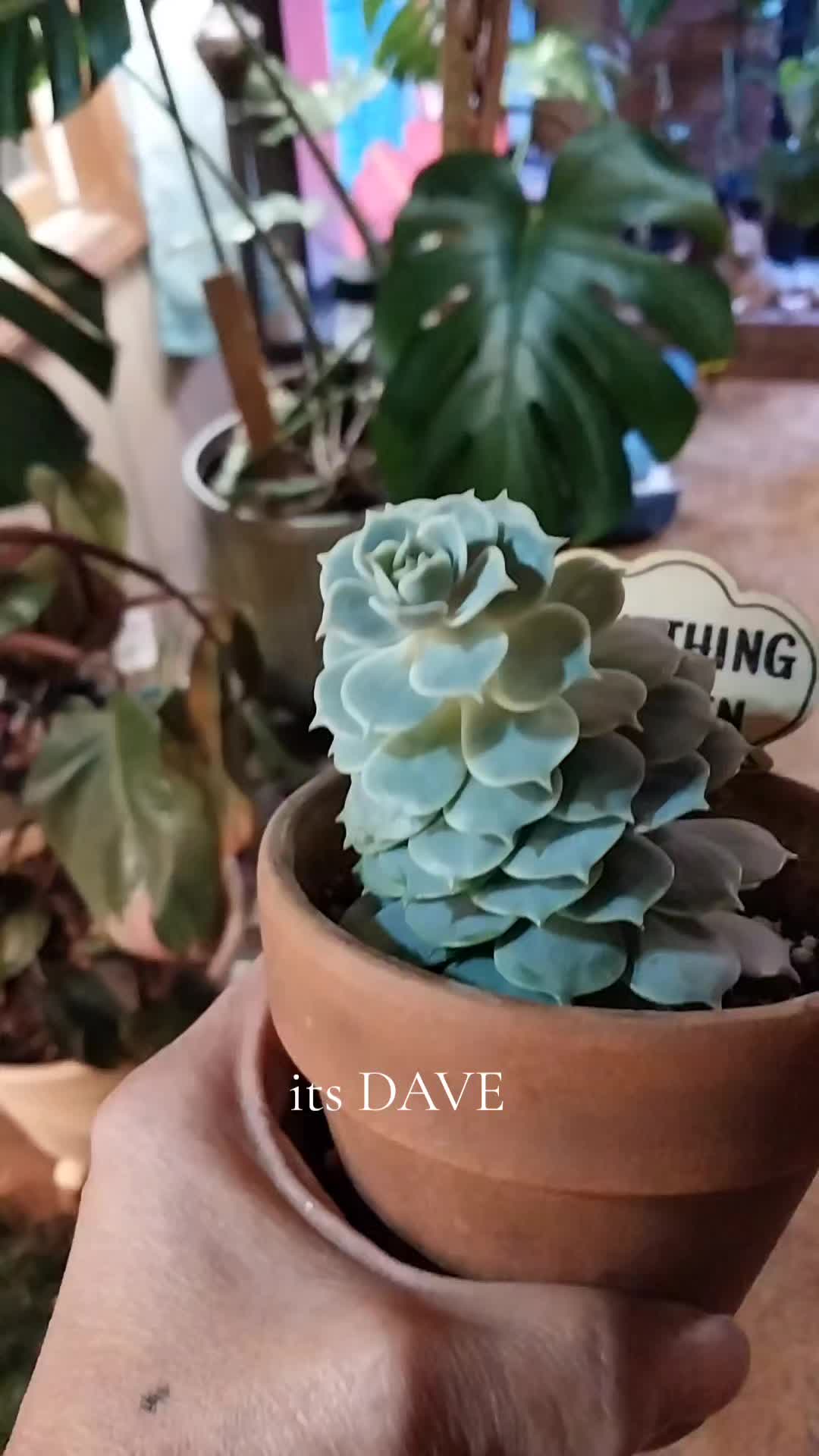 @eddiehill693