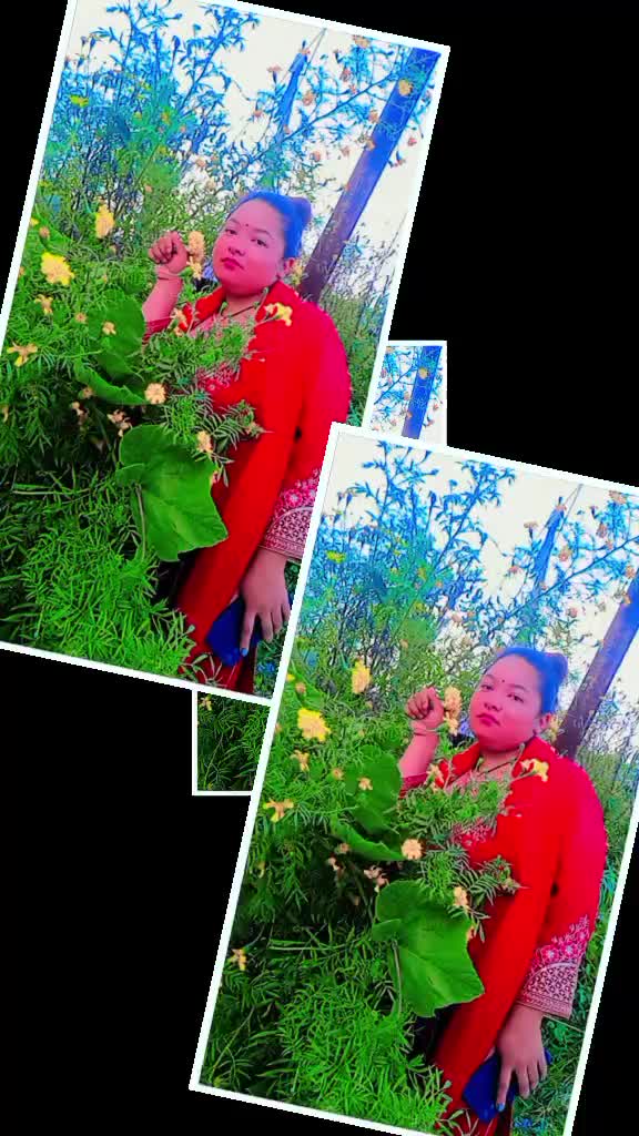@Moktan Sani🥀🥀🥀🥀🥀