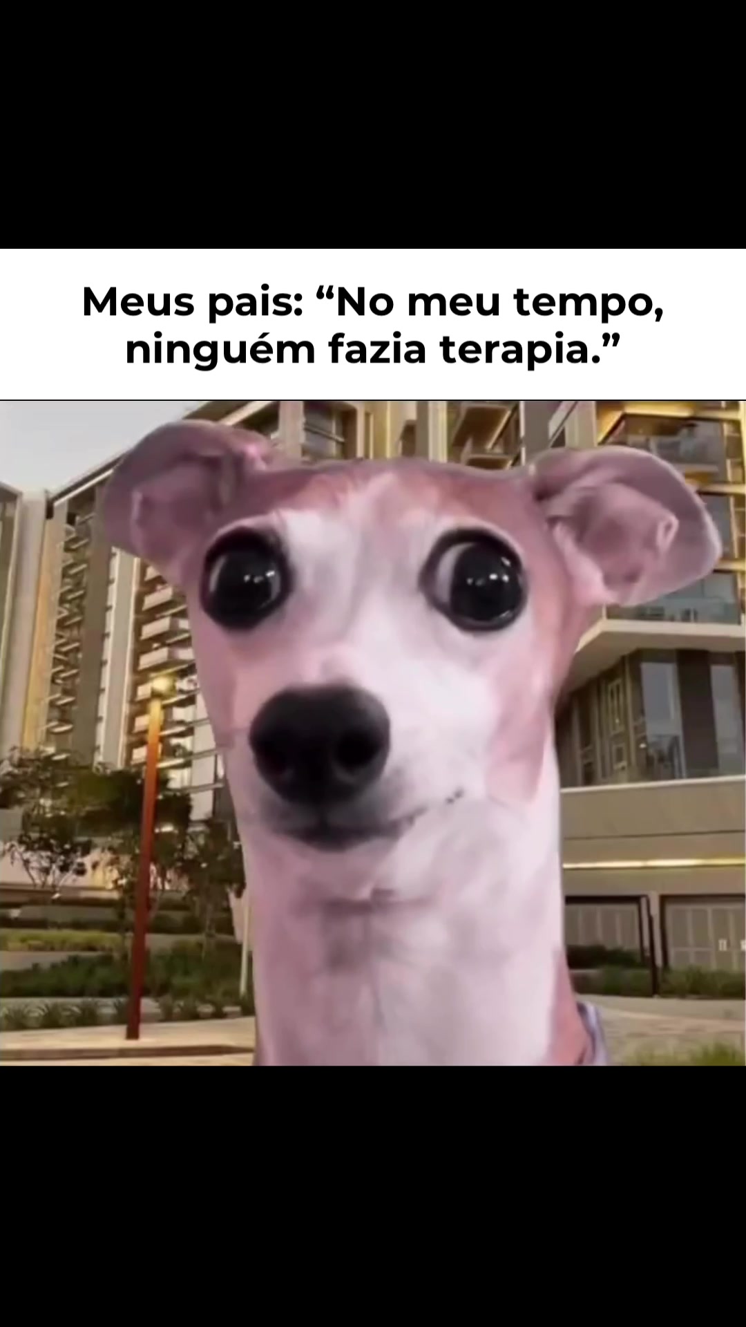 @Larissa Senna