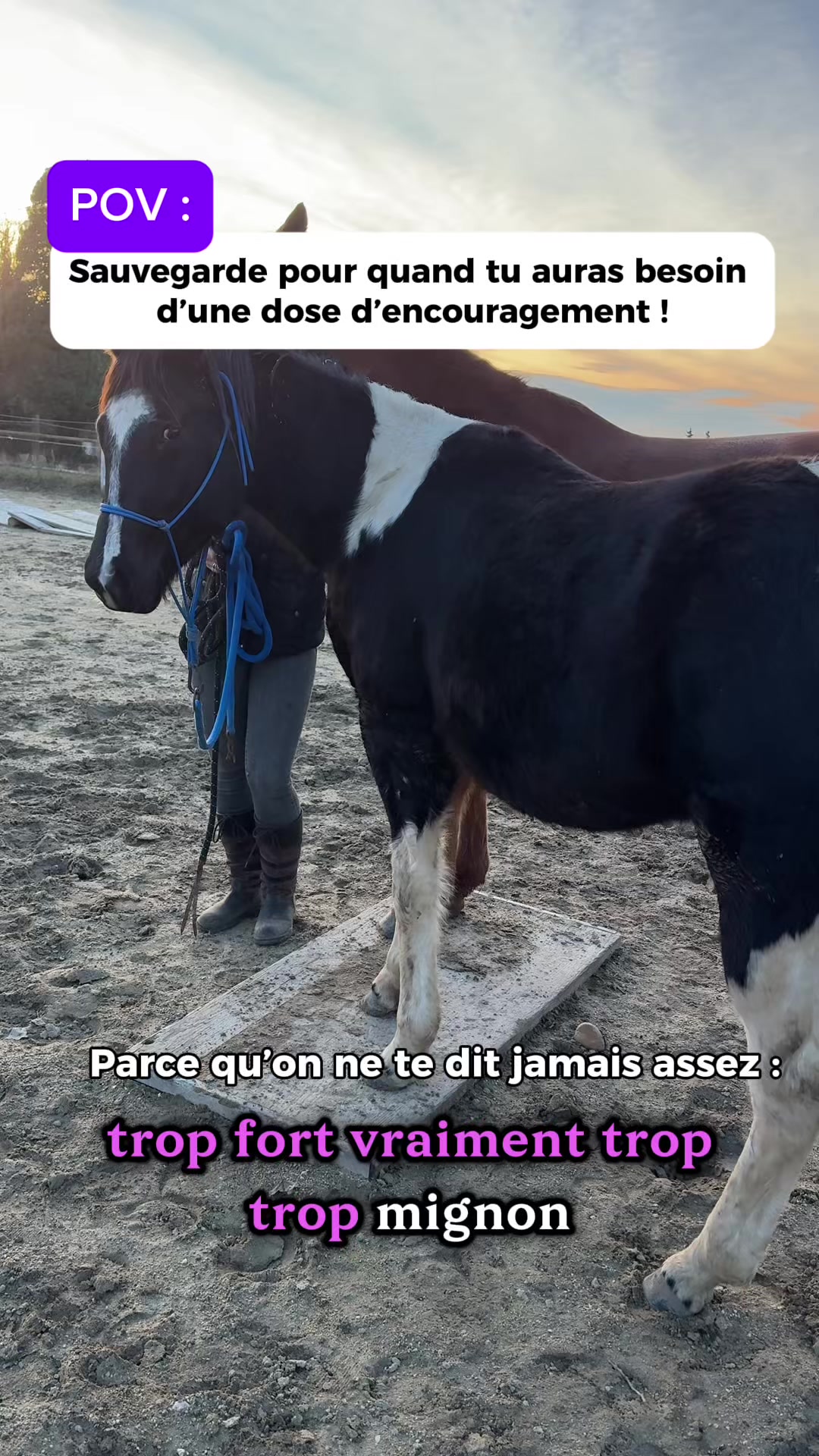 @Ranch Ethic étho