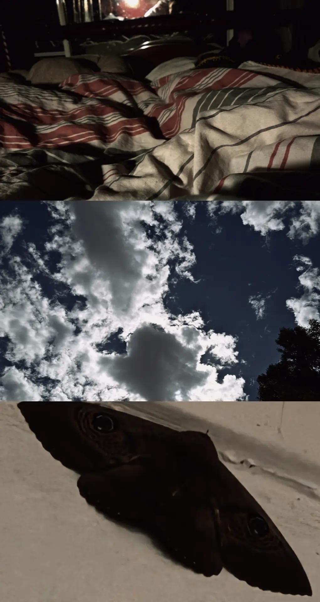 @Rem Sequence | YT: RemSequence