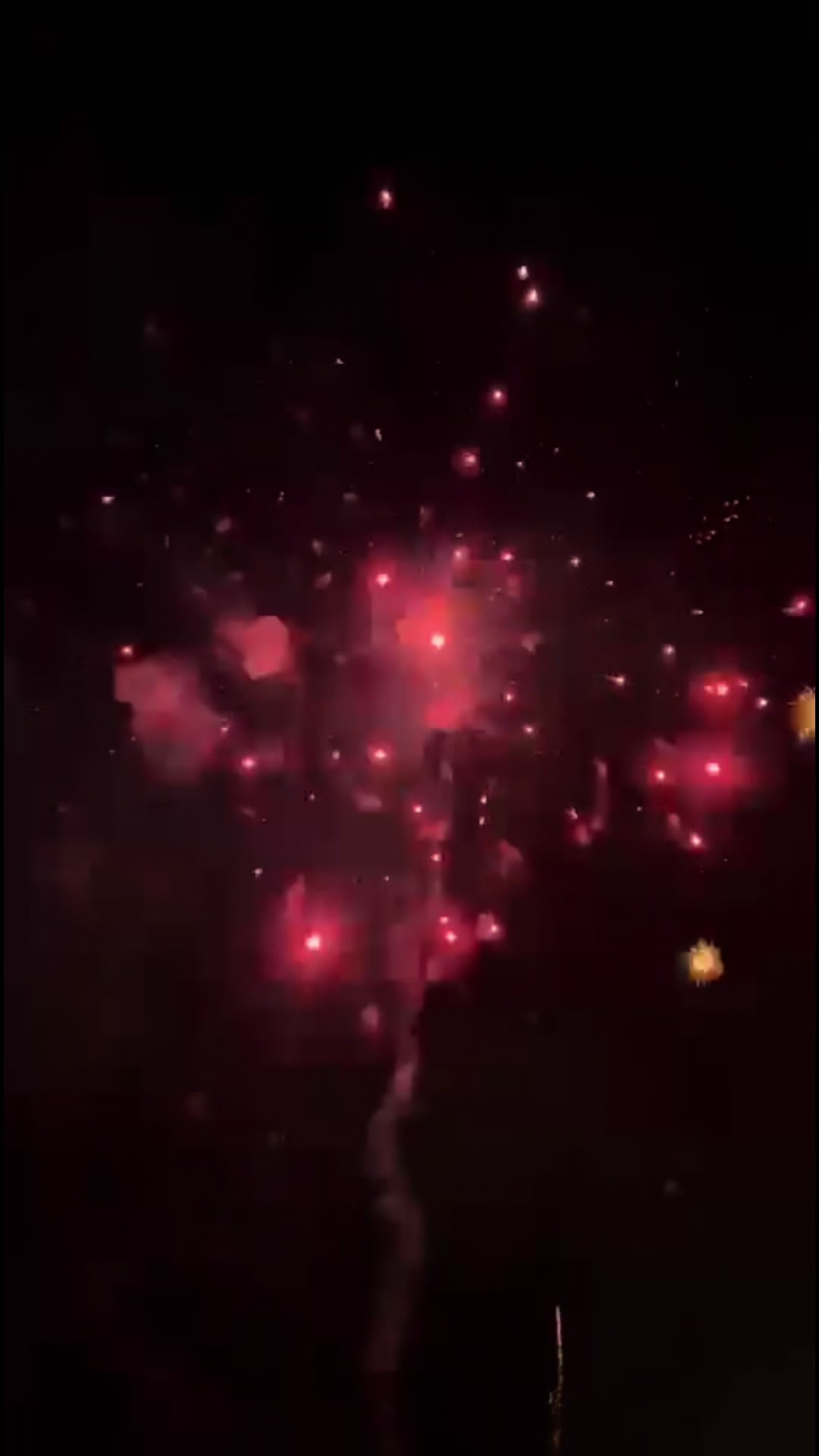 @x2.sophiesoddu