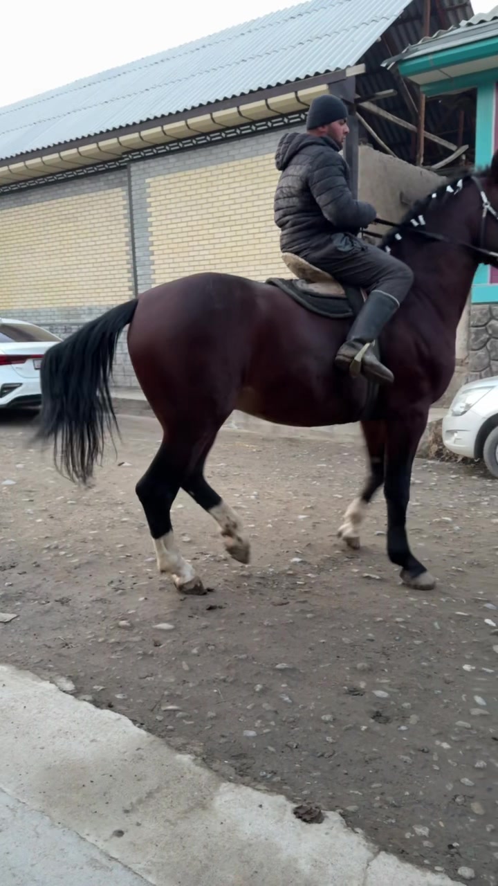 @aziz.nookat98