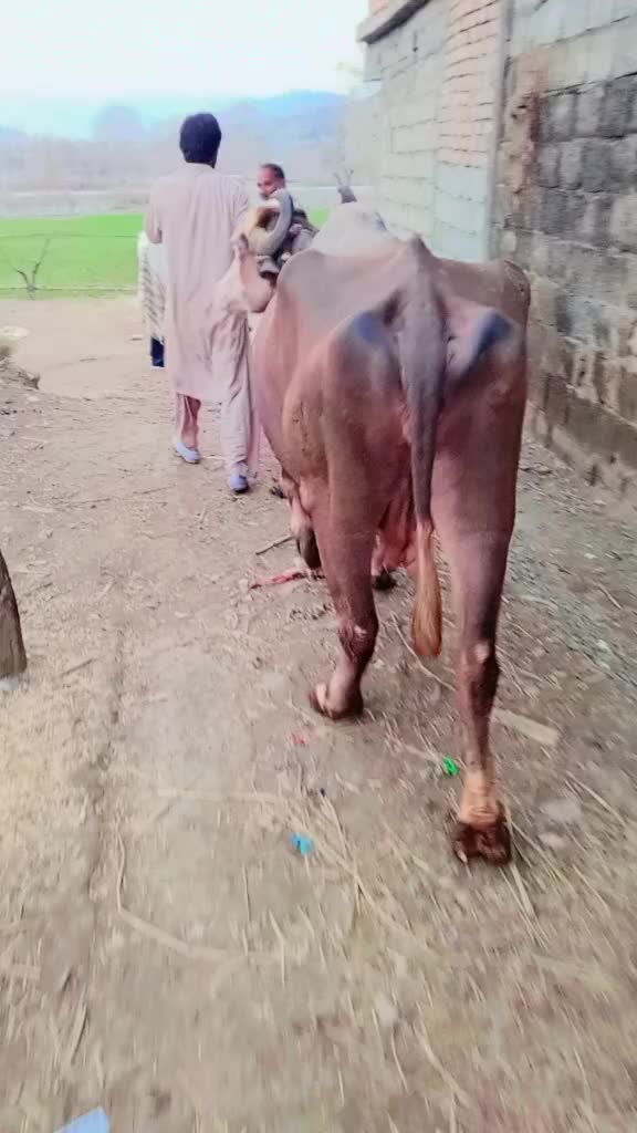@ASAD Sarkar123