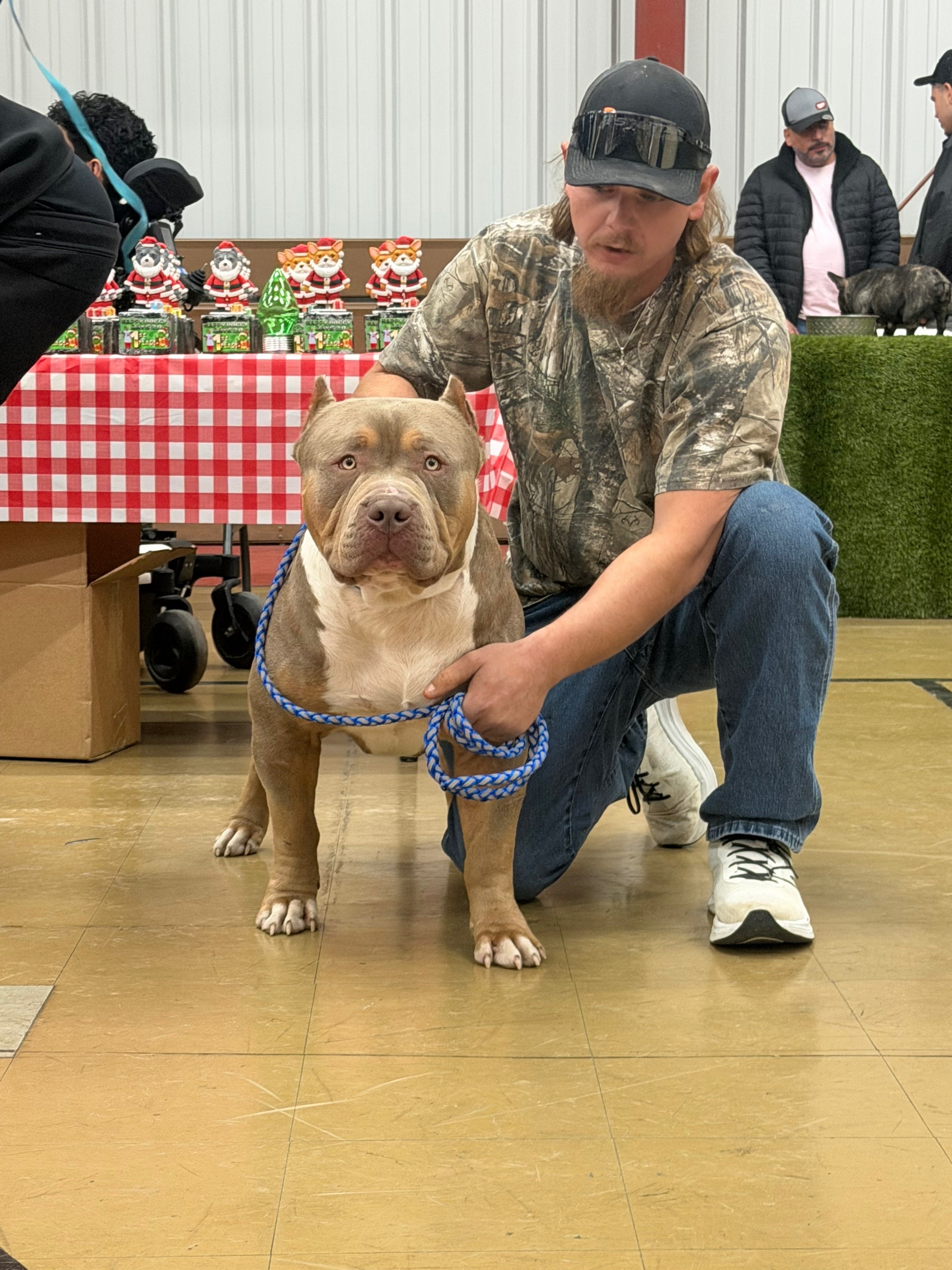@Dtx_dogkennels
