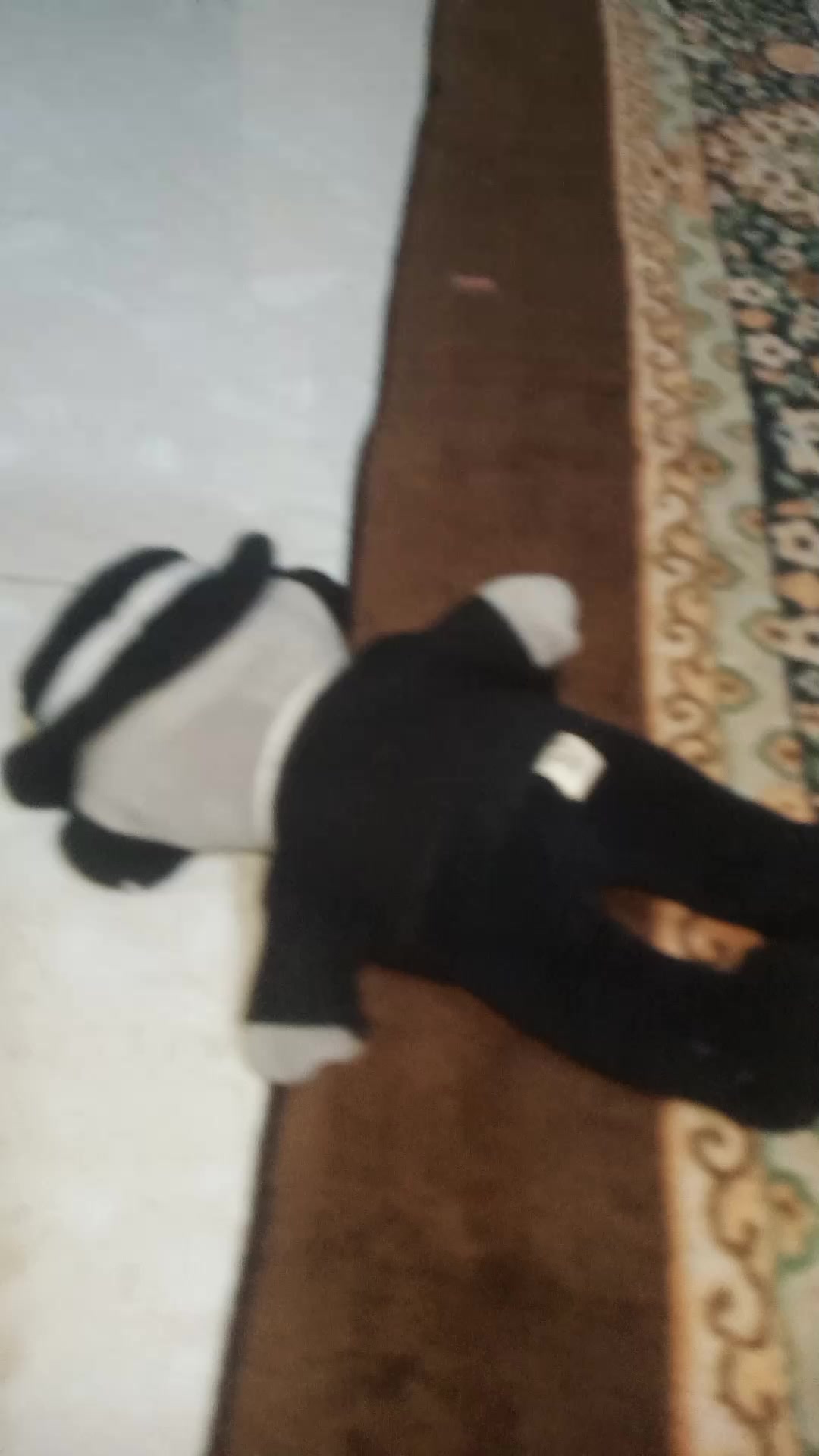 @ɑׁׅׅ꯱ꪱׁׁׁׅׅׅ݊ꪀɑׁׅɑׁׅ🦢🌷