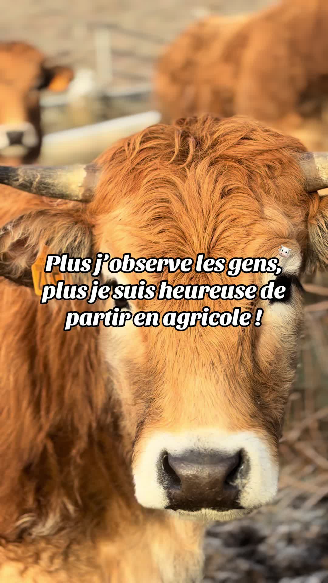 @𝐿𝑒𝓃𝒶👩🏼&zwj;🌾