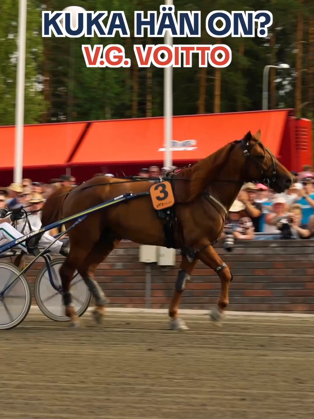 @Suomen Hippos ry