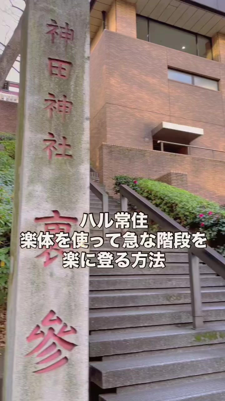 @ハル常住　Hal Tsunezumi
