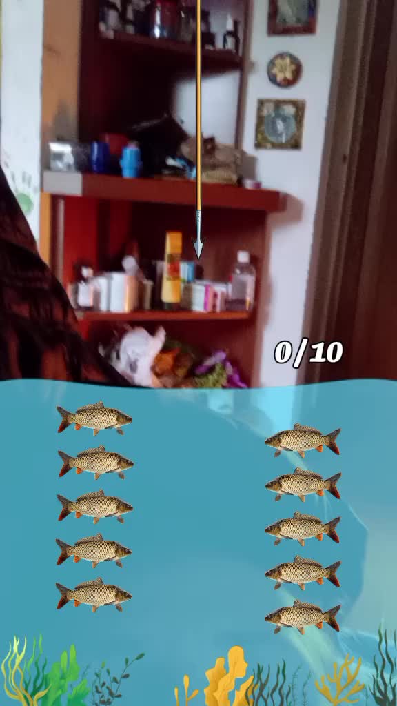 @Sofia Ronconi