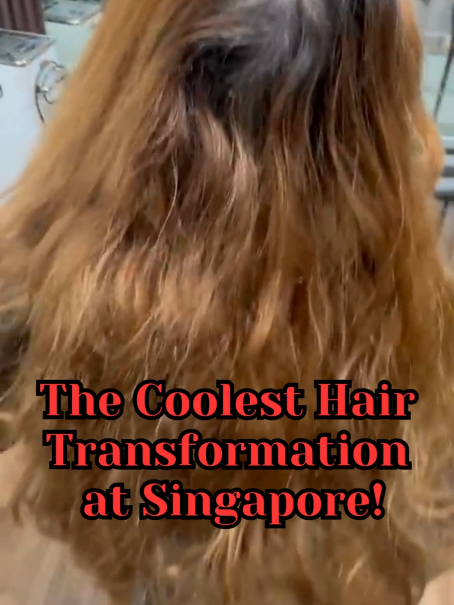 @Forest Salon SG