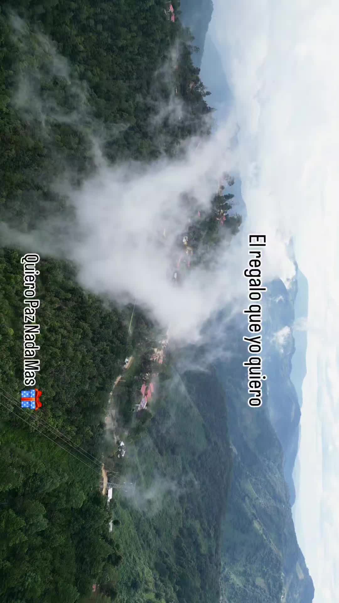 @Luz Bermudez965