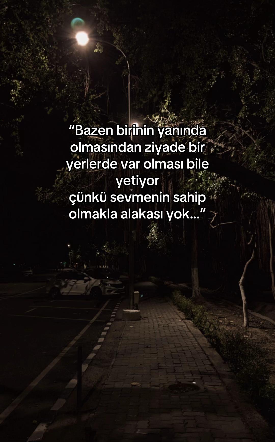 @seviyorgibiydin24