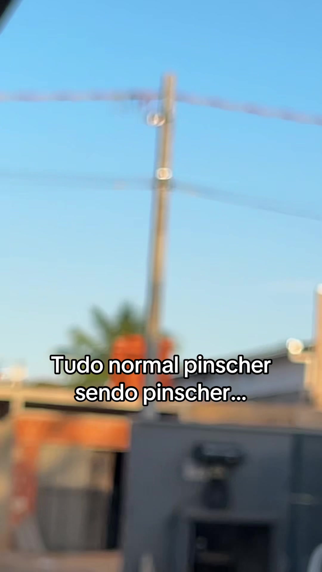 @Nando_sbcoutt