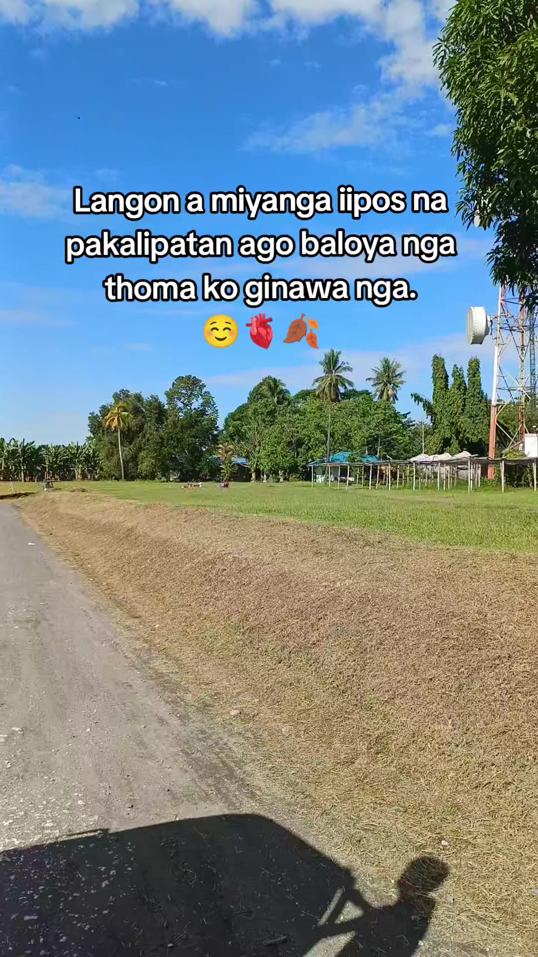 @YourAteSham🫶🏻