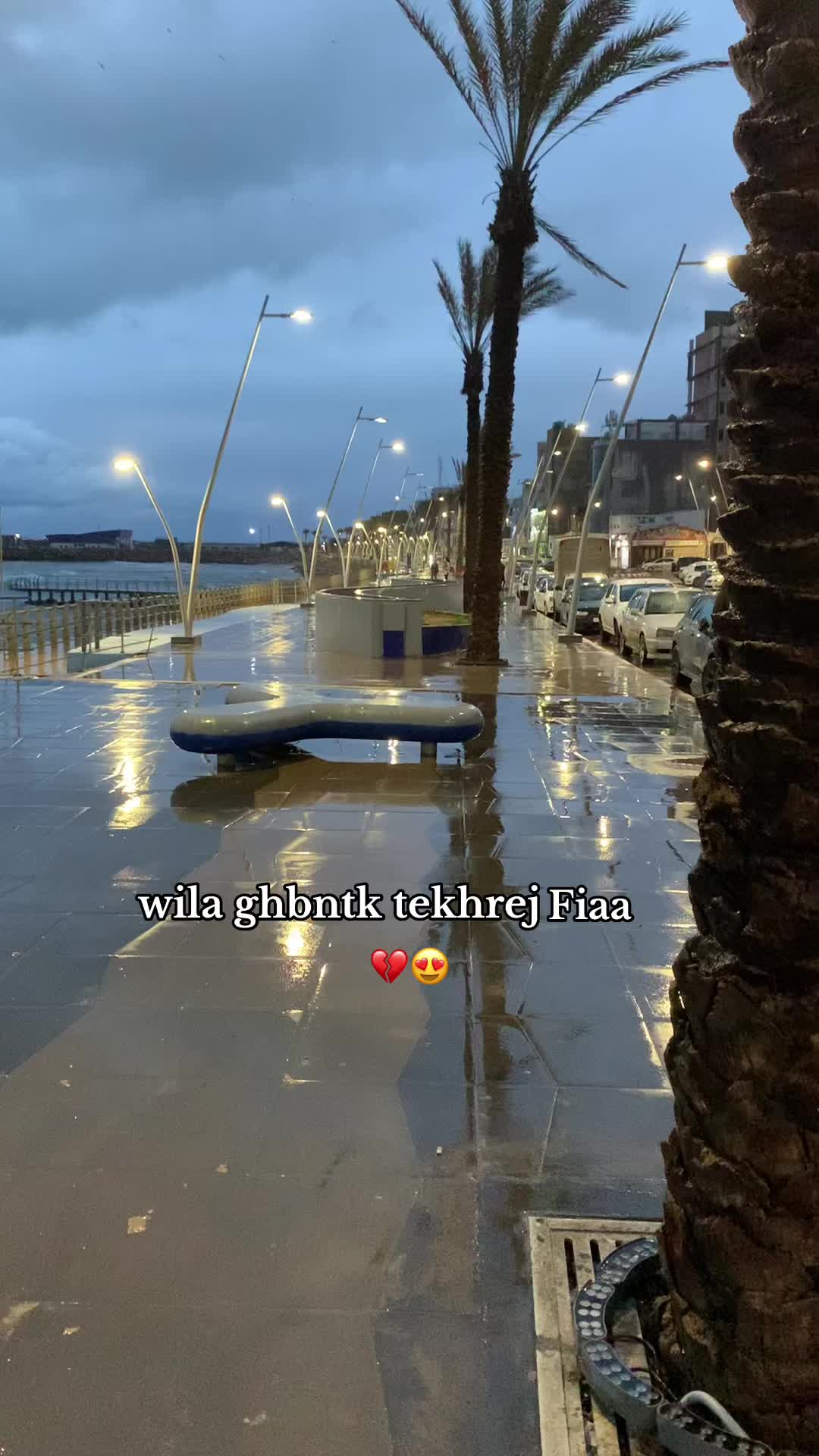 @+213 🖤🇩🇿