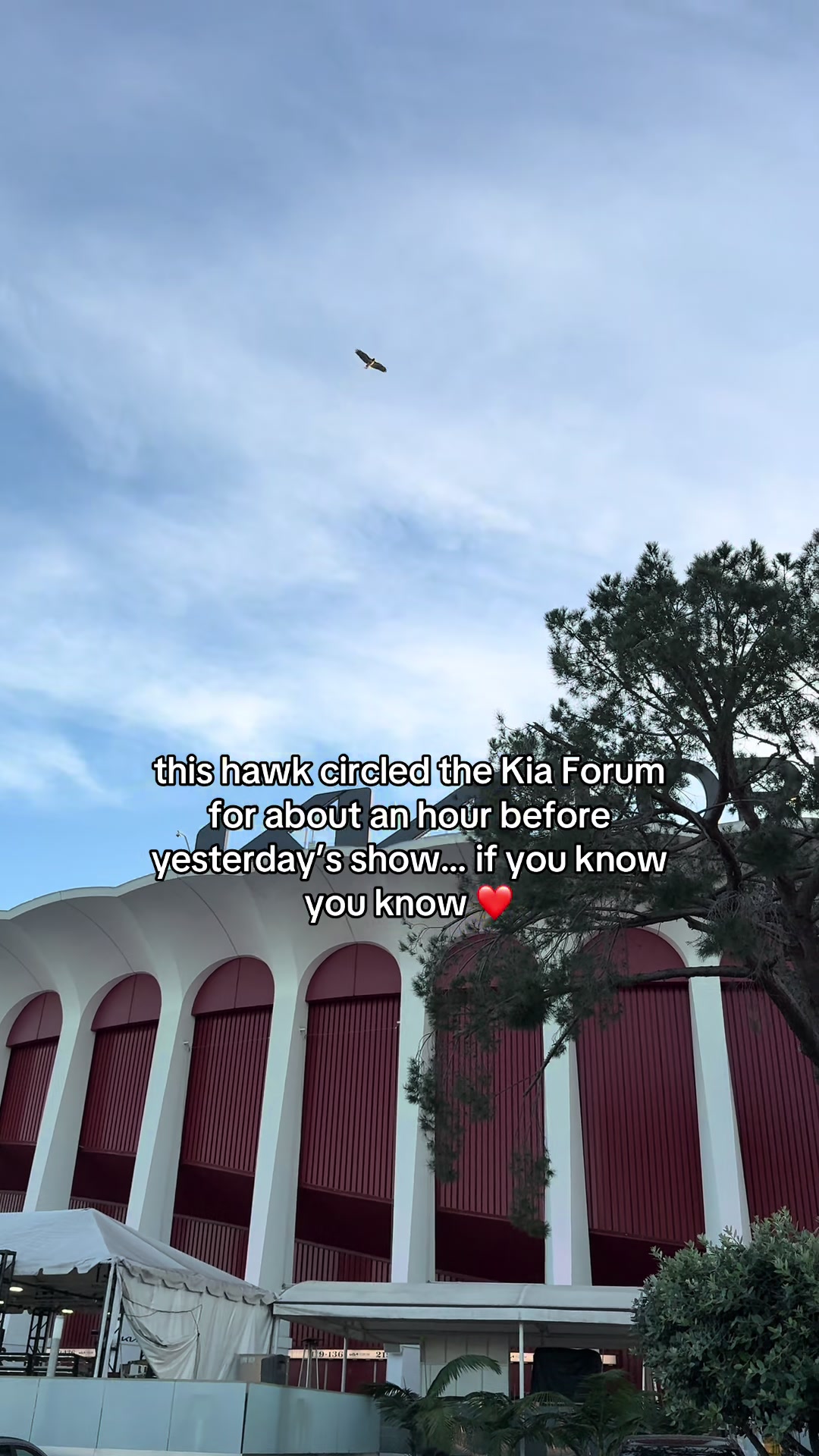 @Maggie Rainwater
