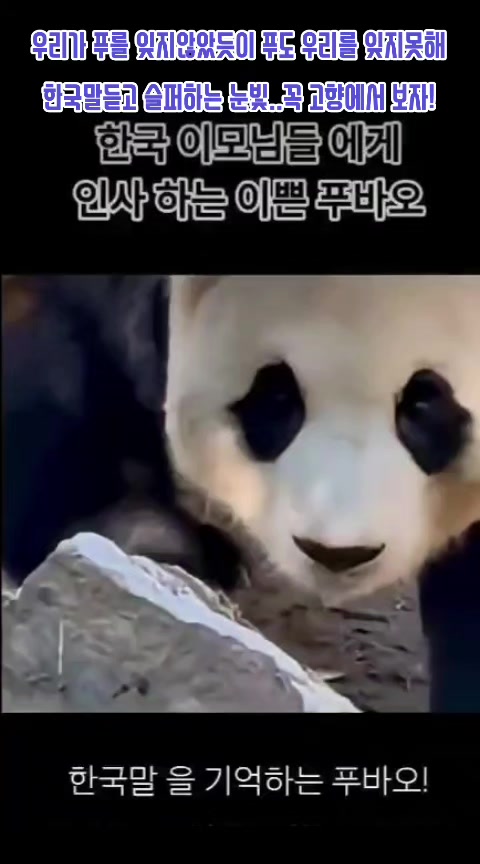 @반짝이는비니♡