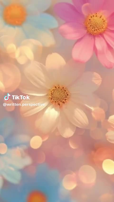 @Joanipur