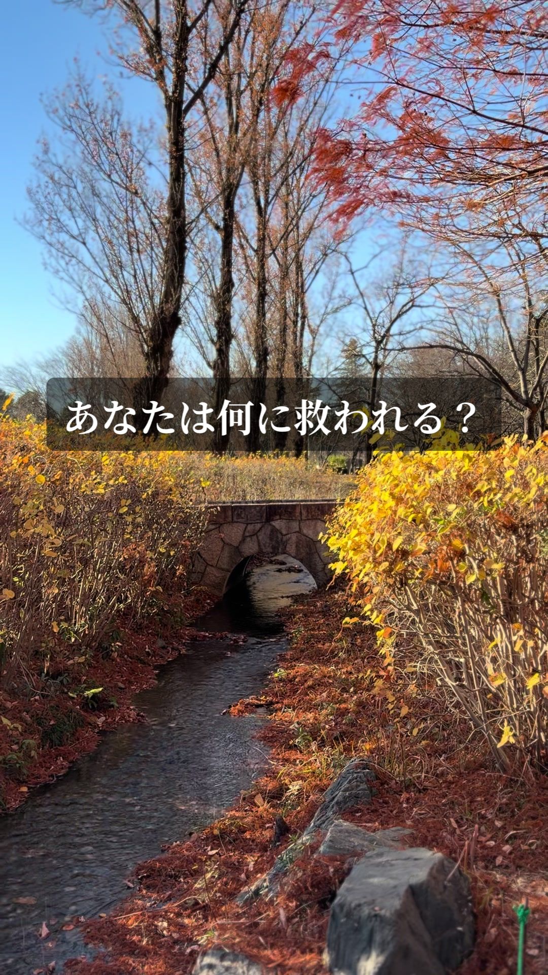 @世の中に絶望している君へ