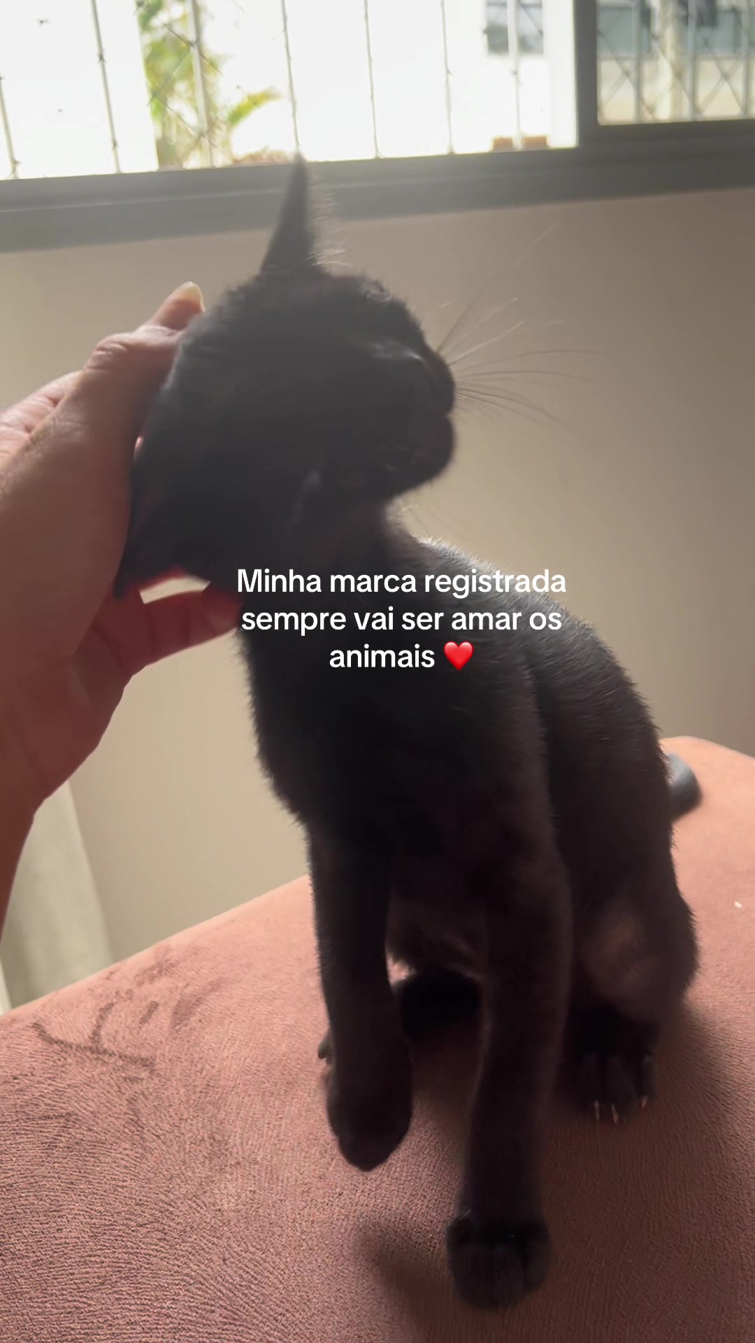 @Giovana Ribeiro