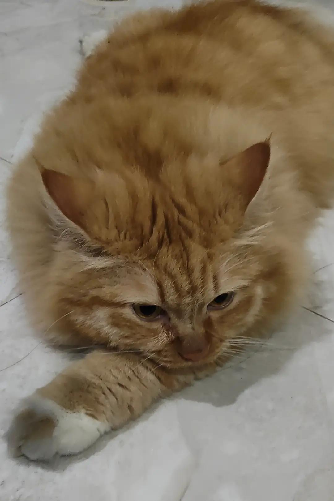 @🥰🌸TEH YATIE🌸🥰