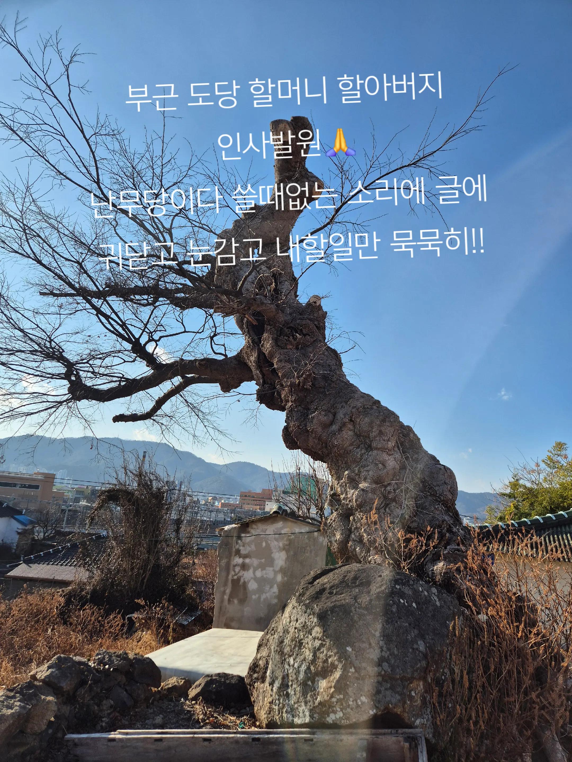 @🐉🐞순천 태청신궁🐞🐉(신점..영점)