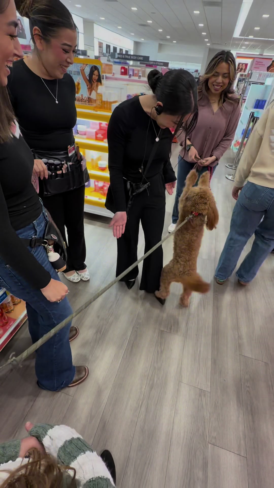 @TuckerTheTurlockDoodle