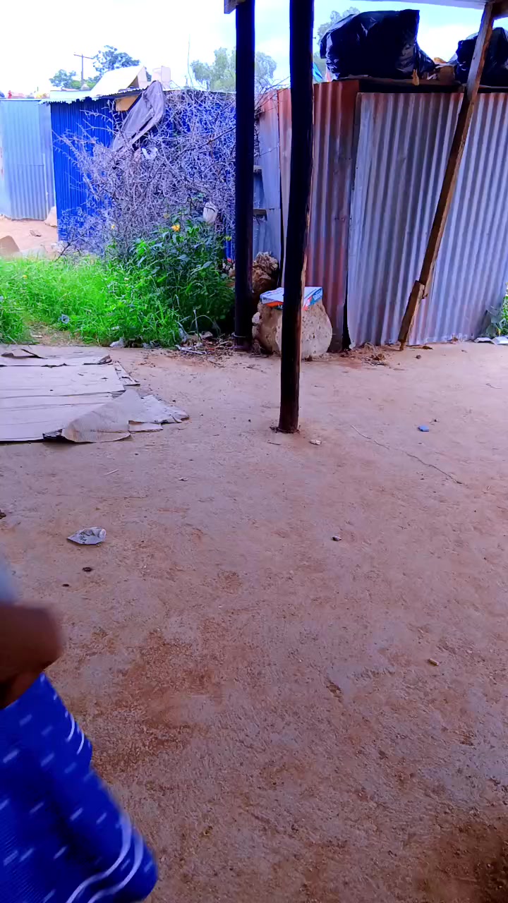 @maoratwa