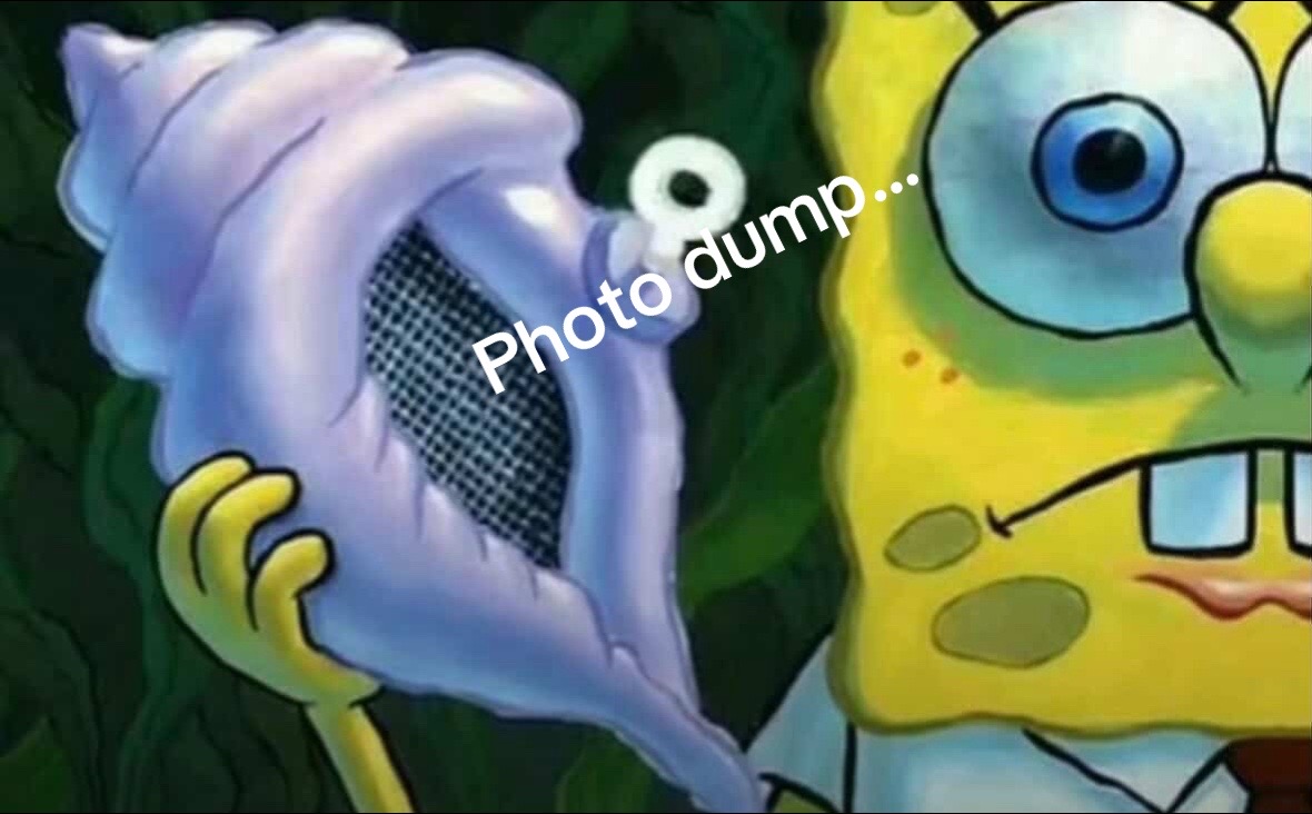 @bryce 👽👽