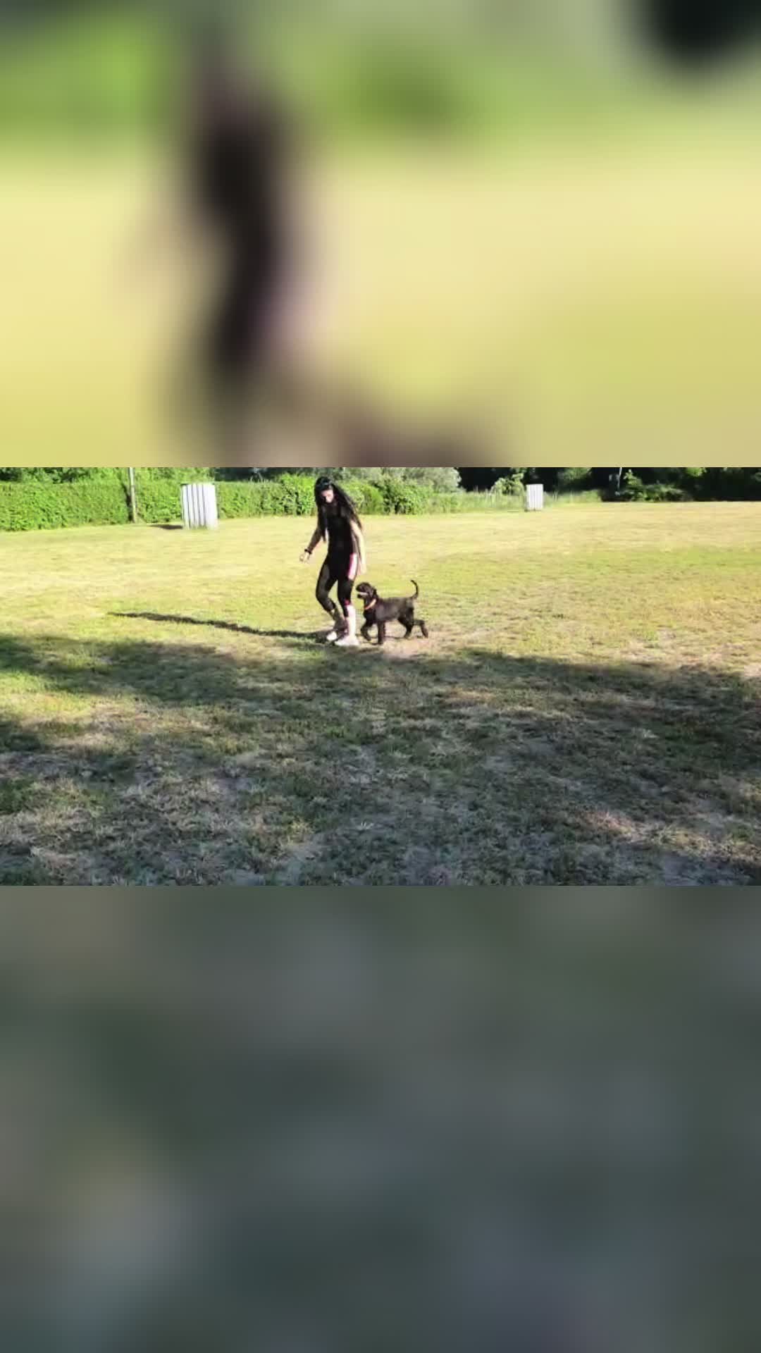 @Jasi&Tobi Dogsport
