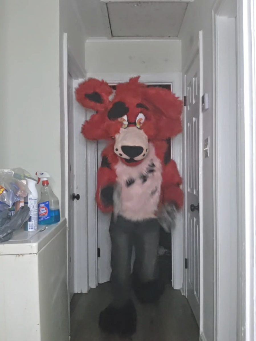 @Furry Mike