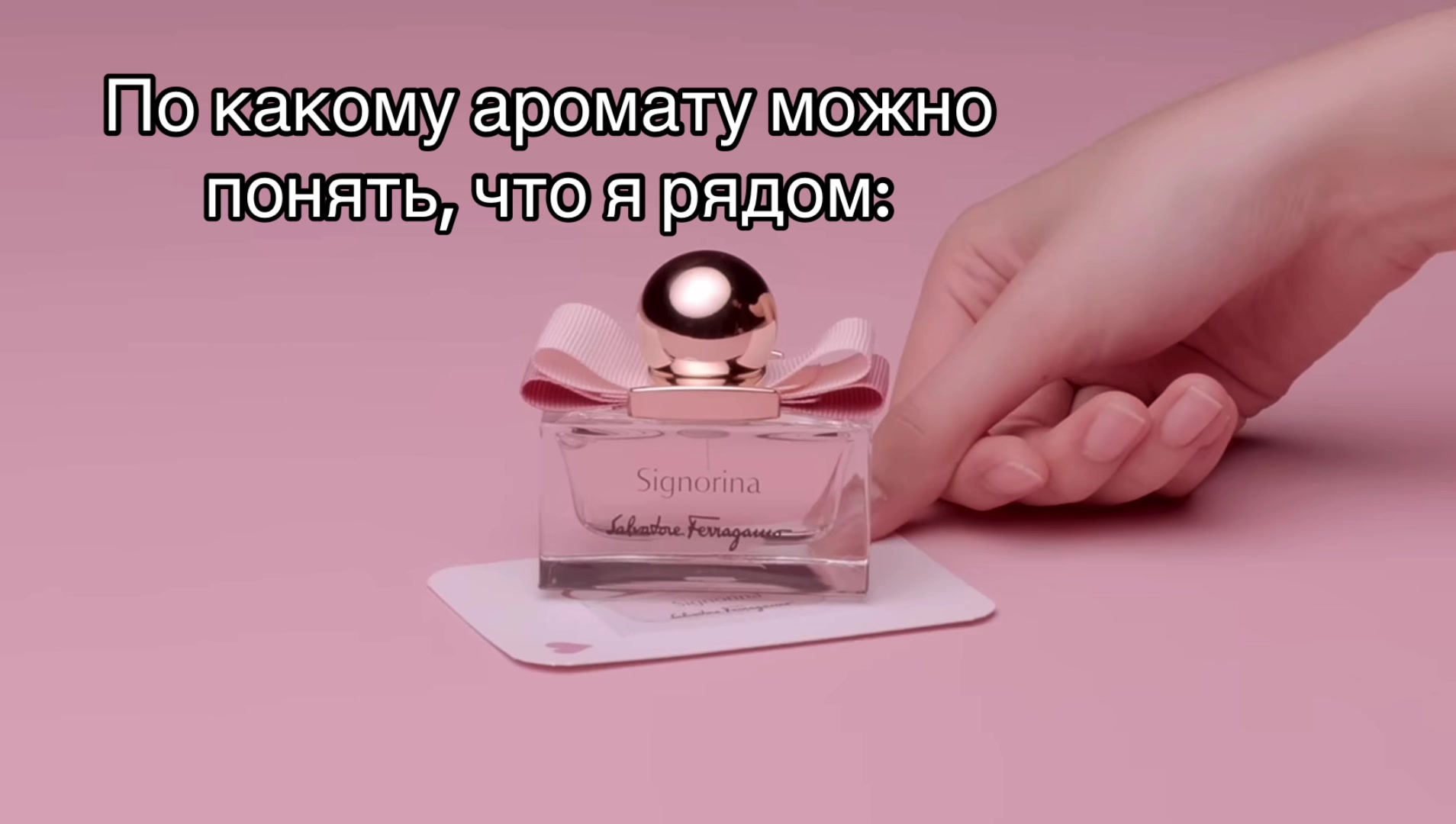 @стейси^