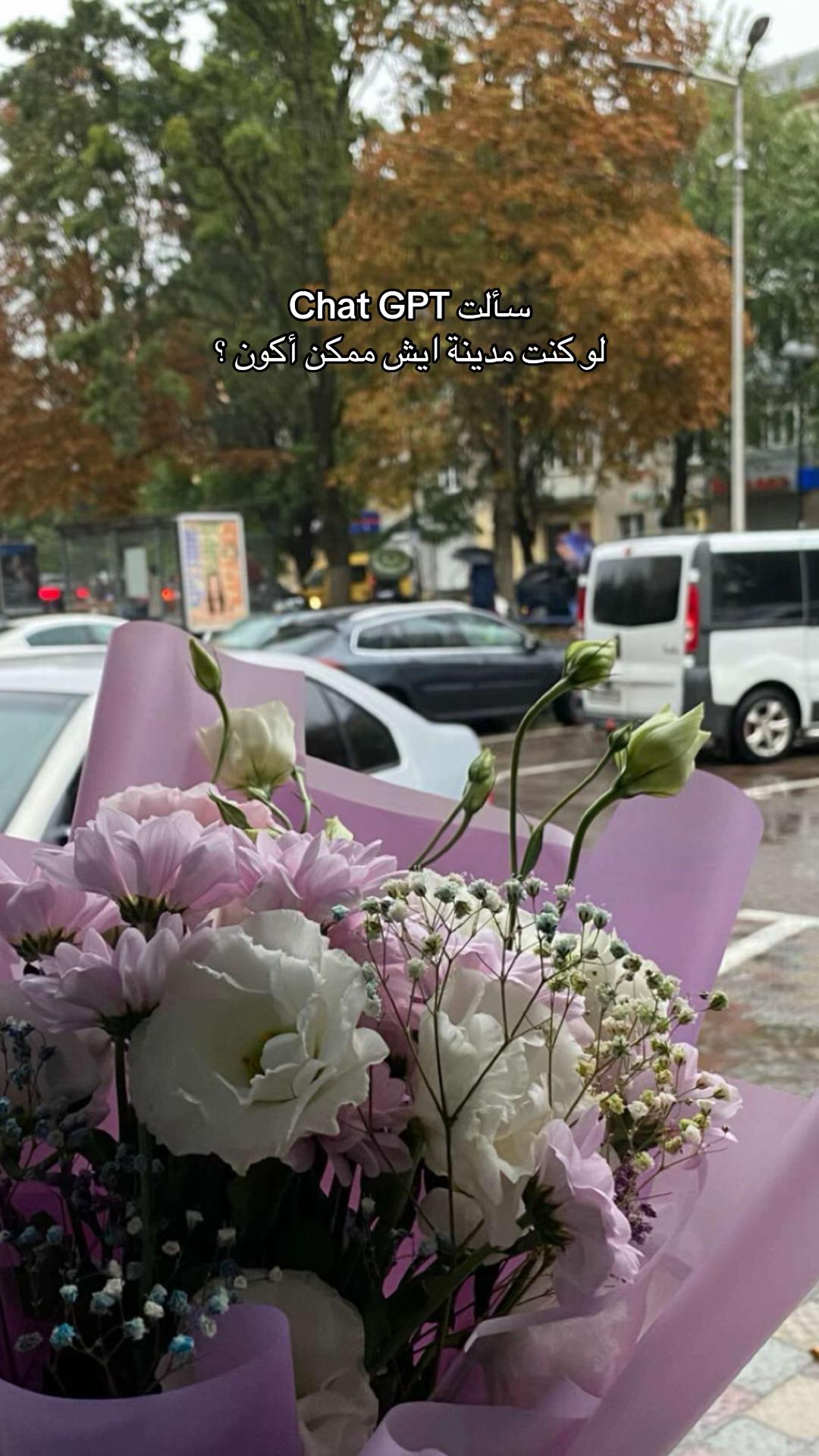 @مَـــرام | MARAM ALSHEHRI