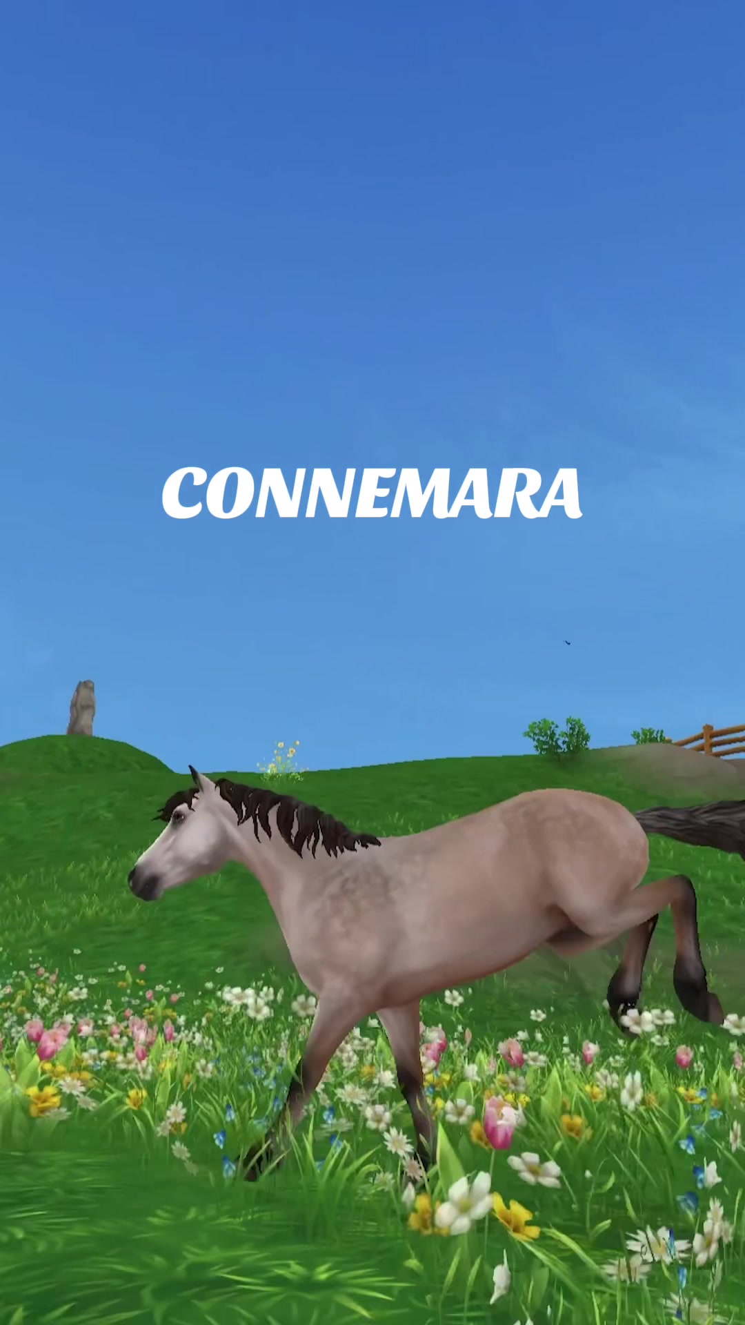 @Official Star Stable
