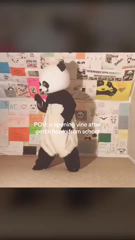 @Panderz_