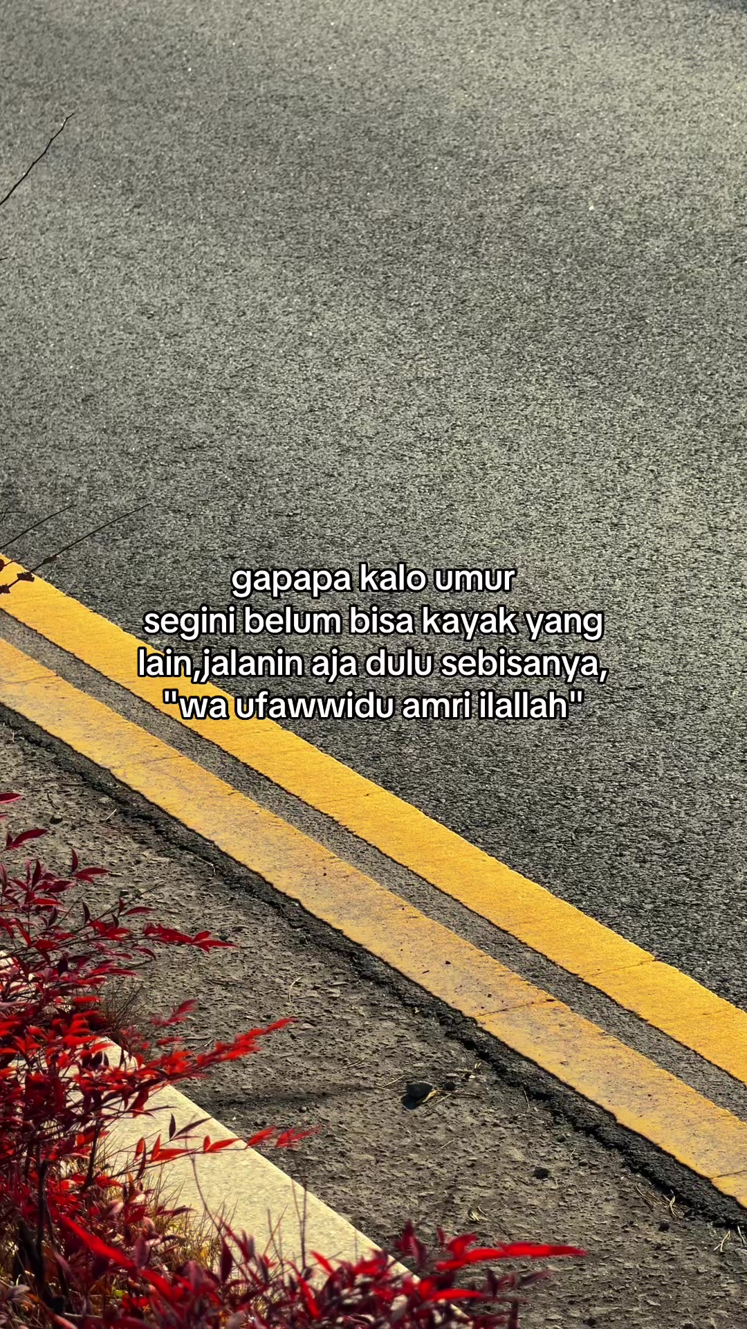 @알겠어