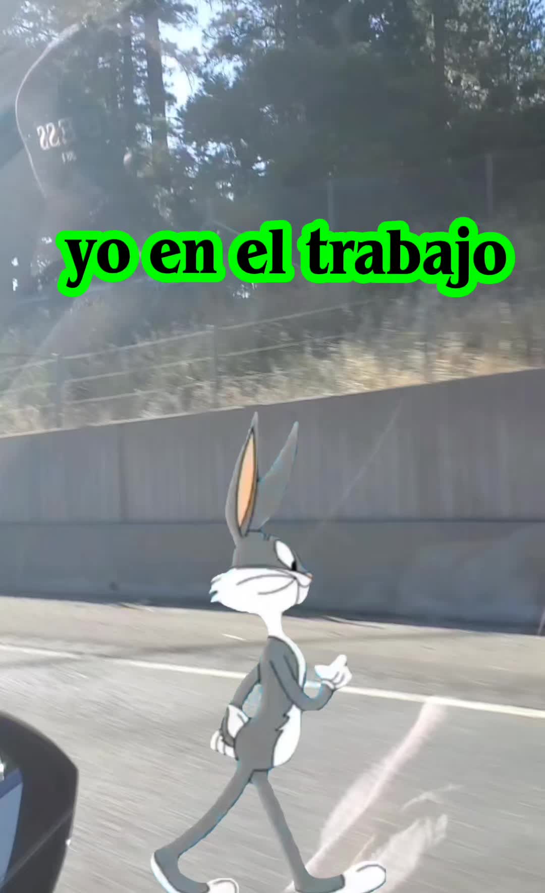 @gueritaSD