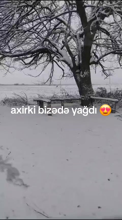 @Taleh valehli 🫶5️⃣7️⃣🇦🇿