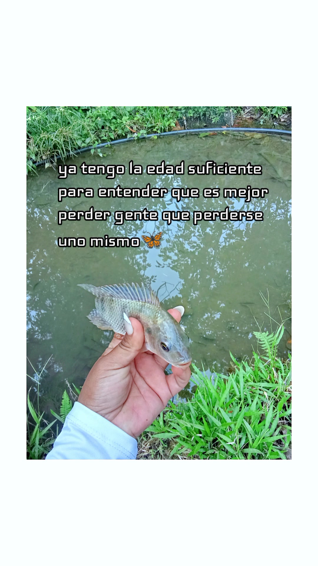 @M🦋
